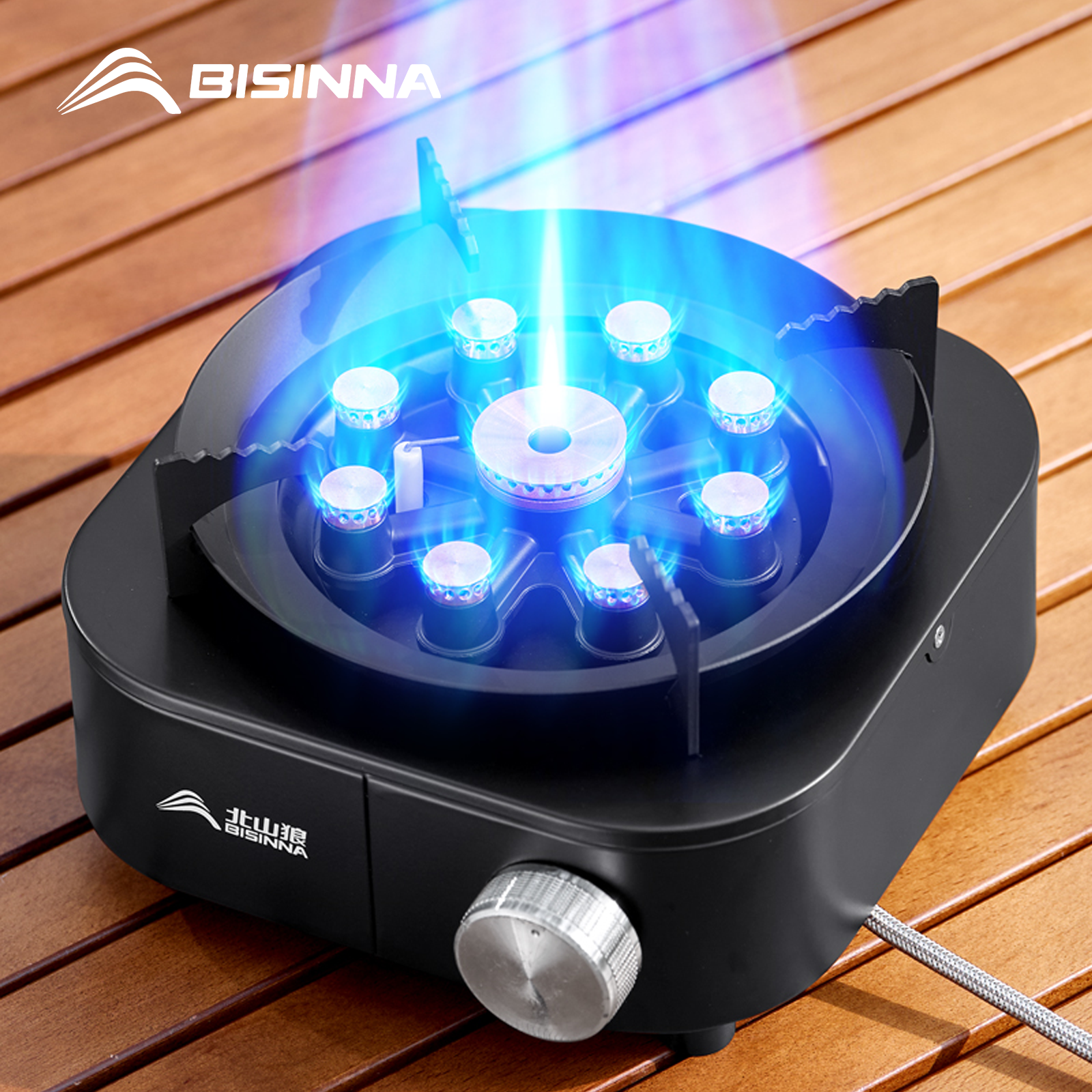 BISINNA Portable Camping Gas S - Camping Cooking Heater recension och pris